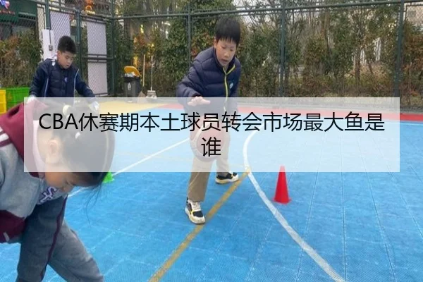 CBA休赛期本土球员转会市场最大鱼是谁